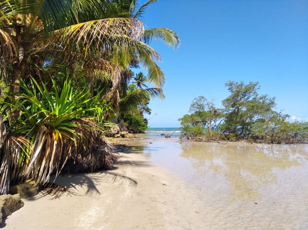 Playa de la isla de Boipeba