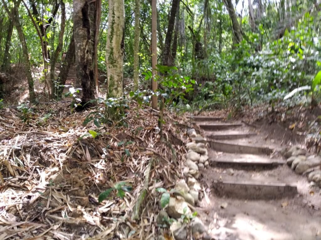Sendero para la playa de Tassimirim en Boipeba