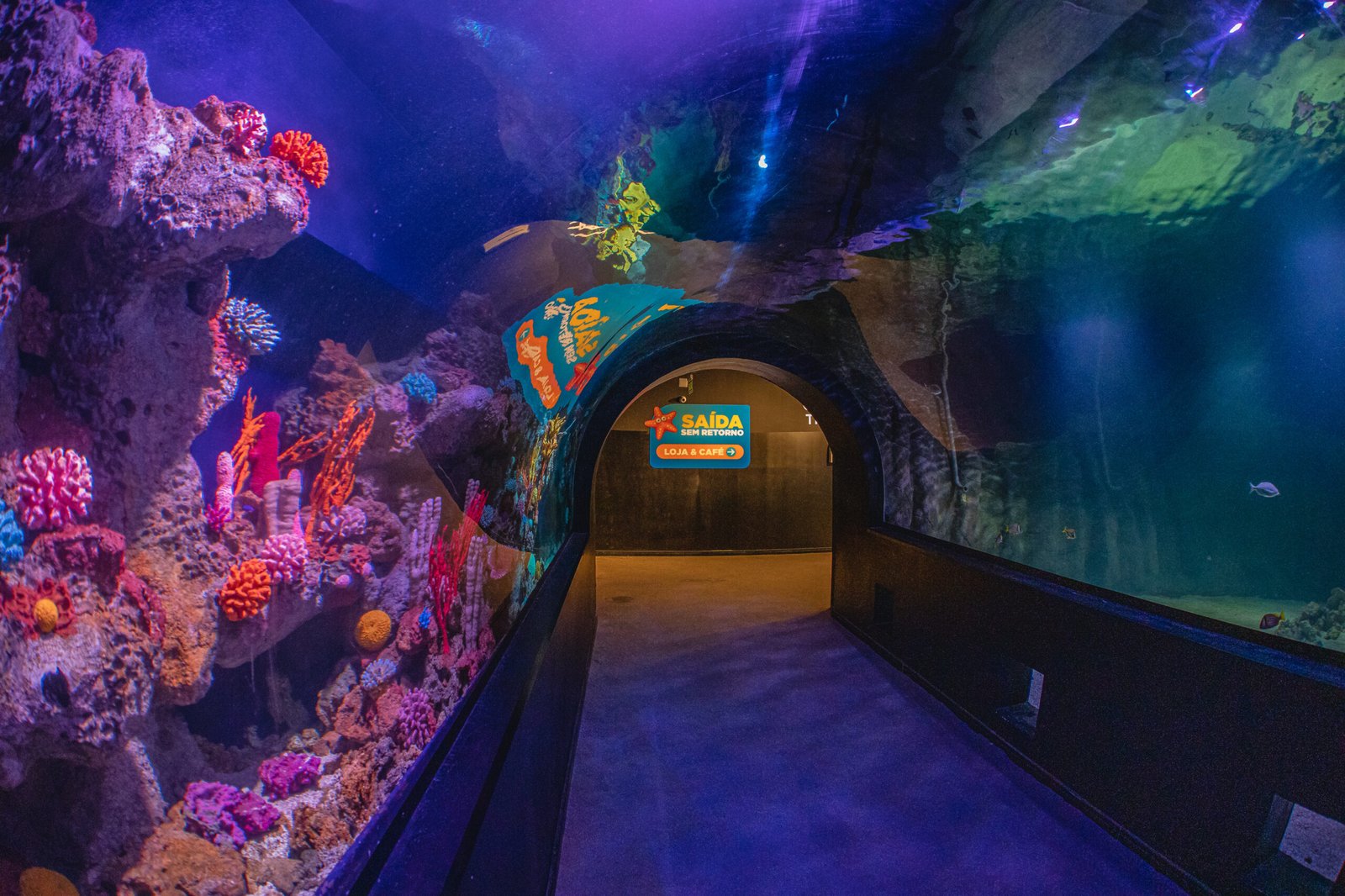 Entre lo que hacer en Balneario Camboriu debes visitar el Oceanic Aquarium